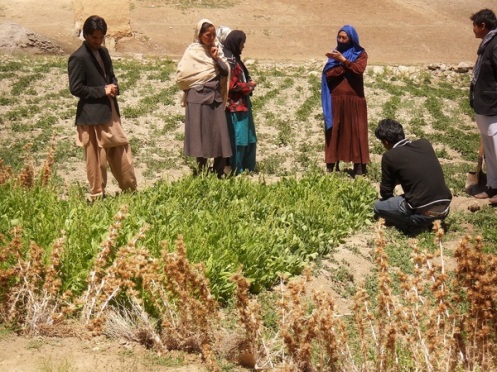 As part of the project, small agricultural schools will be founded to teach new agricultural methods to local communities in order to help improve crop yields
